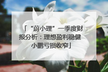 “蔚小理”一季度财报分析：理想盈利稳健 小鹏亏损收窄