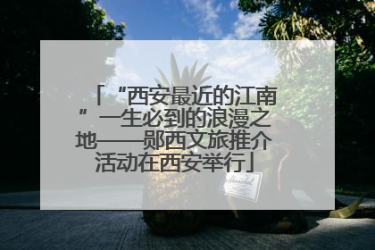 “西安最近的江南”一生必到的浪漫之地——郧西文旅推介活动在西安举行