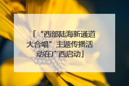 “西部陆海新通道大合唱”主题传播活动在广西启动