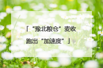 “豫北粮仓”麦收跑出“加速度”