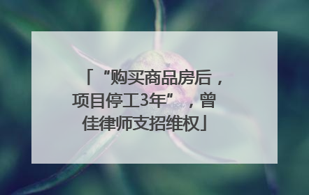 “购买商品房后，项目停工3年”，曾佳律师支招维权