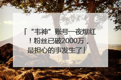 “韦神”账号一夜爆红！粉丝已破2000万，最担心的事发生了