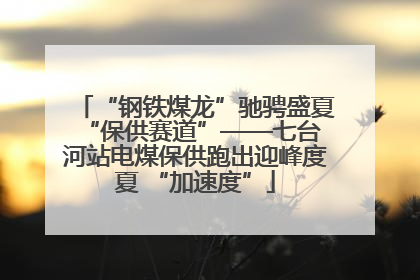 “钢铁煤龙”驰骋盛夏 “保供赛道”——七台河站电煤保供跑出迎峰度夏 “加速度”