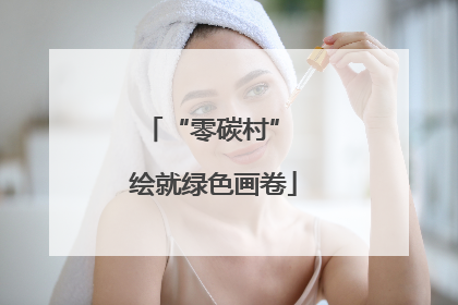 “零碳村” 绘就绿色画卷