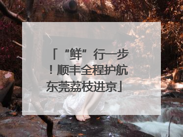 “鲜”行一步！顺丰全程护航东莞荔枝进京