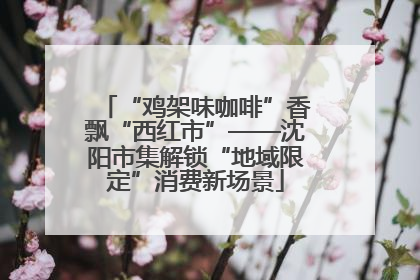 “鸡架味咖啡”香飘“西红市”——沈阳市集解锁“地域限定”消费新场景
