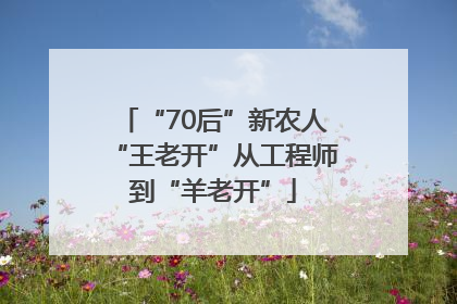 “70后”新农人“王老开”从工程师到“羊老开”