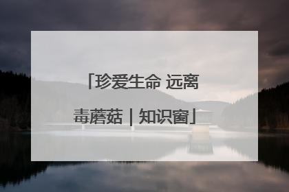 珍爱生命 远离毒蘑菇｜知识窗