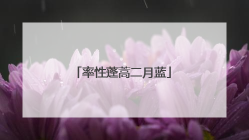 率性蓬蒿二月蓝