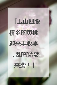 玉山四股桥乡的黄桃迎来丰收季，甜蜜诱惑来袭！