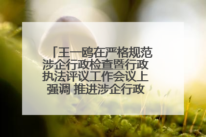 王一鸥在严格规范涉企行政检查暨行政执法评议工作会议上强调 推进涉企行政检查质效大幅提升