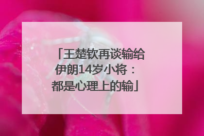 王楚钦再谈输给伊朗14岁小将：都是心理上的输