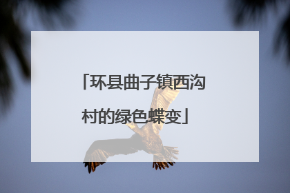 环县曲子镇西沟村的绿色蝶变
