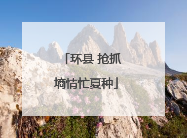 环县 抢抓墒情忙夏种
