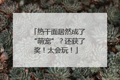 热干面居然成了“萌宠”？还获了奖！太会玩！