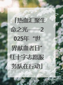 热血汇聚生命之光——2025年“世界献血者日”红十字志愿服务队在行动