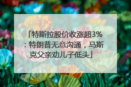 特斯拉股价收涨超3%：特朗普无意沟通，马斯克父亲劝儿子低头