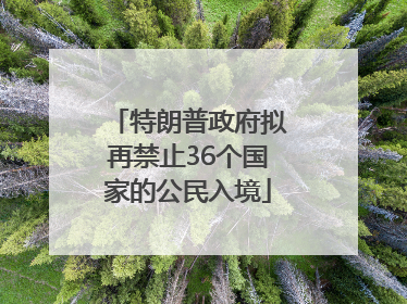 特朗普政府拟再禁止36个国家的公民入境