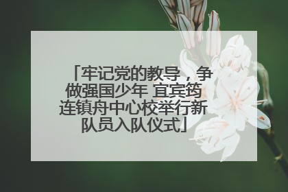 牢记党的教导，争做强国少年 宜宾筠连镇舟中心校举行新队员入队仪式