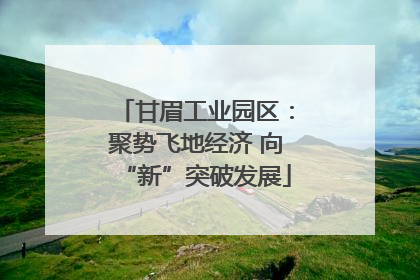 甘眉工业园区：聚势飞地经济 向“新”突破发展