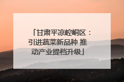 甘肃平凉崆峒区：引进蔬菜新品种 推动产业提档升级