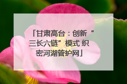 甘肃高台：创新“三长六链”模式 织密河湖管护网
