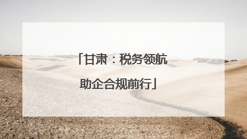 甘肃：税务领航 助企合规前行