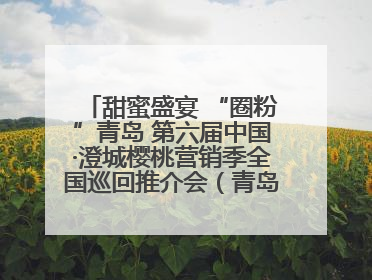 甜蜜盛宴 “圈粉”青岛 第六届中国·澄城樱桃营销季全国巡回推介会（青岛站）成功举办