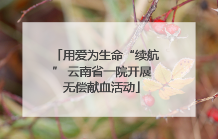 用爱为生命“续航” 云南省一院开展无偿献血活动