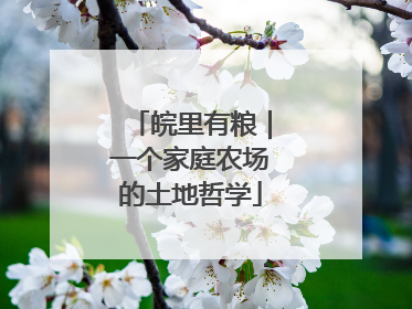 皖里有粮｜一个家庭农场的土地哲学