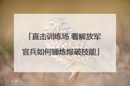 直击训练场 看解放军官兵如何锤炼爆破技能