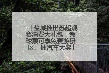 盐城推出苏超观赛消费大礼包，凭球票可享免费游景区、抽汽车大奖