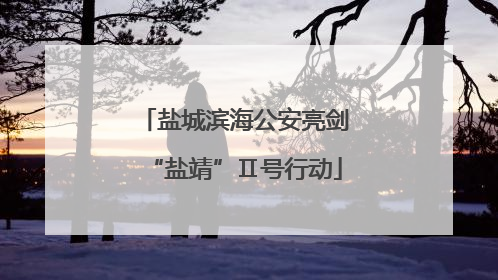 盐城滨海公安亮剑“盐靖”Ⅱ号行动
