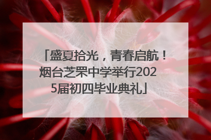 盛夏拾光，青春启航！烟台芝罘中学举行2025届初四毕业典礼