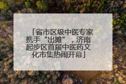 省市区级中医专家携手“出摊”，济南起步区首届中医药文化市集热闹开幕