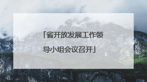 省开放发展工作领导小组会议召开