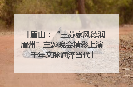 眉山：“三苏家风德润眉州”主题晚会精彩上演千年文脉润泽当代