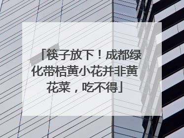 筷子放下！成都绿化带桔黄小花并非黄花菜，吃不得