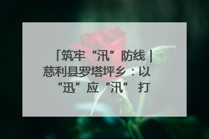 筑牢“汛”防线｜慈利县罗塔坪乡：以“迅”应“汛” 打赢暴雨防御战