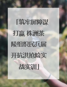 筑牢屏障谋打赢 株洲茶陵组织民兵展开抗洪抢险实战实训