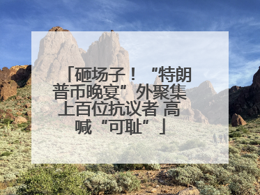 砸场子！“特朗普币晚宴”外聚集上百位抗议者 高喊“可耻”