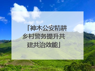 神木公安精耕乡村警务提升共建共治效能