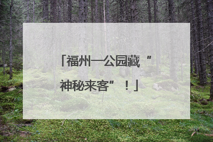 福州一公园藏“神秘来客”！