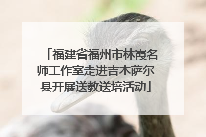 福建省福州市林霞名师工作室走进吉木萨尔县开展送教送培活动