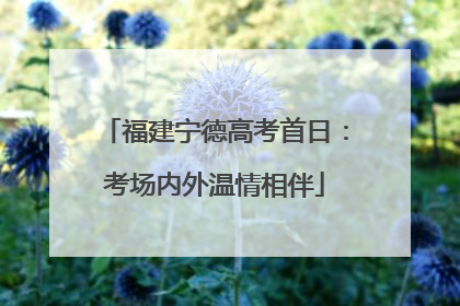 福建宁德高考首日：考场内外温情相伴