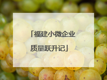 福建小微企业质量跃升记