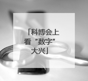 科博会上看“数字”大兴
