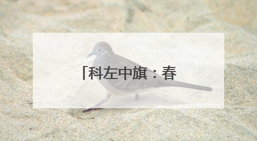 科左中旗：春播正当时 沃野绘“丰”景