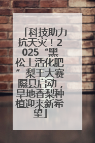 科技助力抗天灾！2025“黑松土活化肥”梨王大赛隰县启动，旱地香梨种植迎来新希望