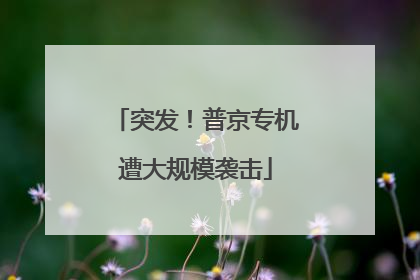 突发！普京专机遭大规模袭击